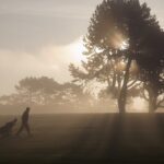 Side vie of man walking past trees across golf course at twilight, pulling golf trolley.